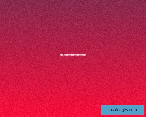 中国X站：数字时代下的新浪潮，连接无限可能